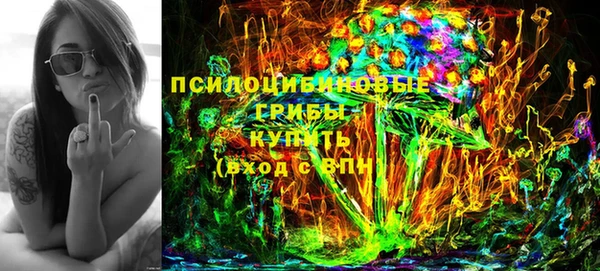 бошки Абаза