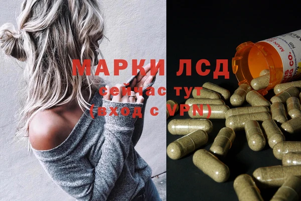 гидра Протвино