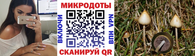 ОМГ ОМГ Белоусово Псилоцибиновые грибы GOLDEN TEACHER